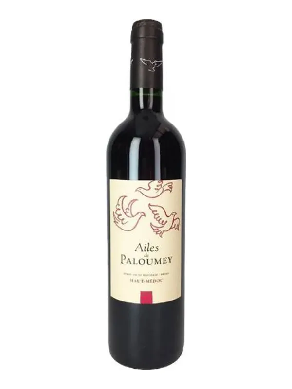 Botella de Ailes de Paloumey - SEGUNDO VINO DE Château Paloumey 2021