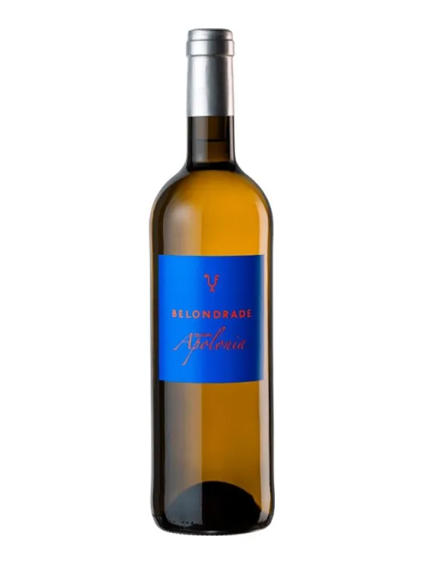 Botella de Belondrade Quinta Apolonia 2025