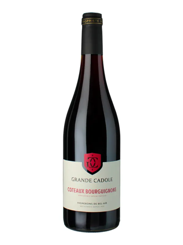 Ampolla de Coteaux Bourguignons - la Grande Cadole - Vignerons de Bel Air 2024