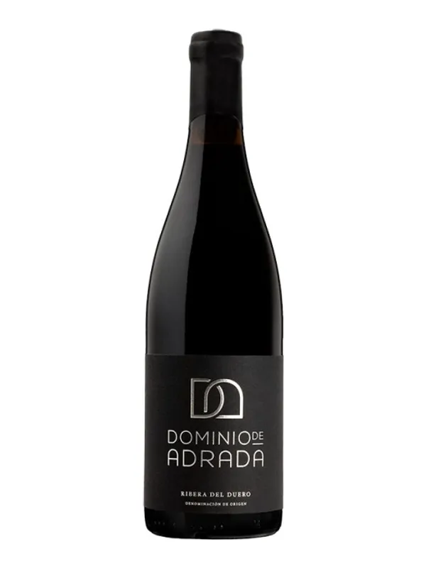 Botella de Dominio de Adrada 2022