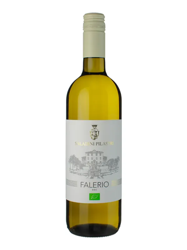Ampolla de Falerio - Saladini Pilastri 2025