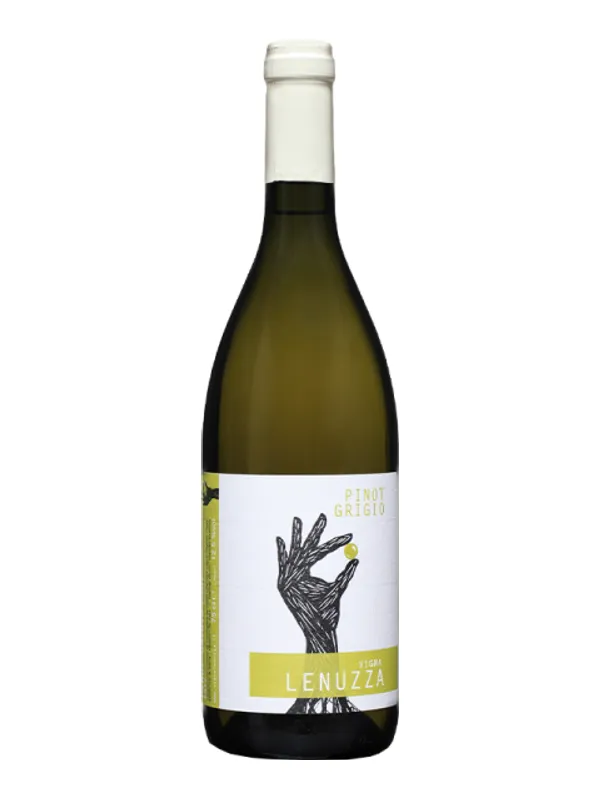 Ampolla de Pinot Grigio - Vigna Lenuzza 2024