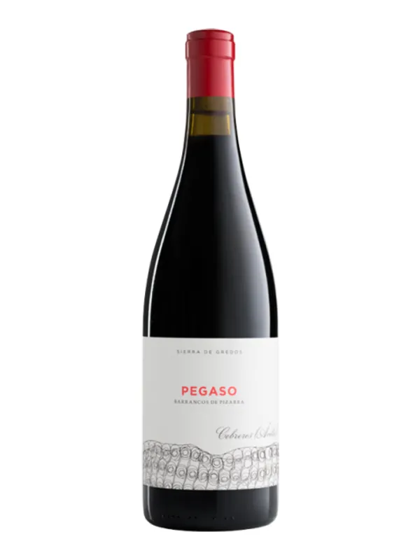 Botella de Pizarra - Pegaso - Telmo Rodríguez 2022