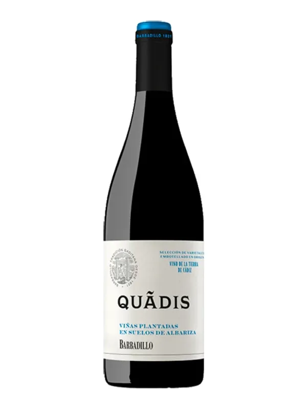 Botella de Quadis Joven