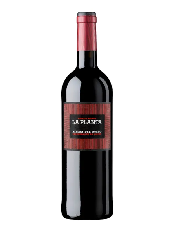 Botella de Tinto Arzuaga Navarro La Planta