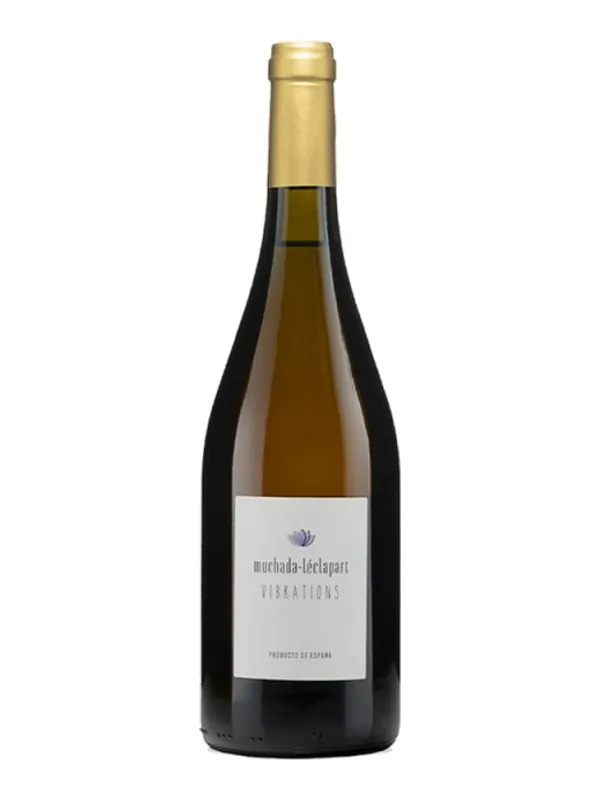 Botella de Vibrations 2021