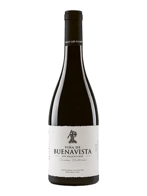 Botella de Viña de Buenavista 2018